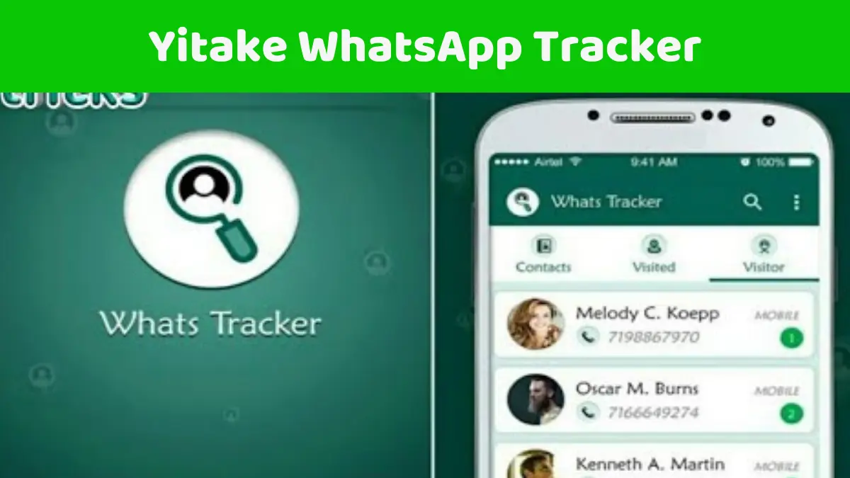Yitake WhatsApp Tracker